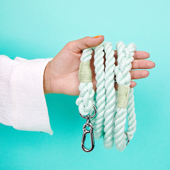 Twisted Rope Dog Leash | Mint Green