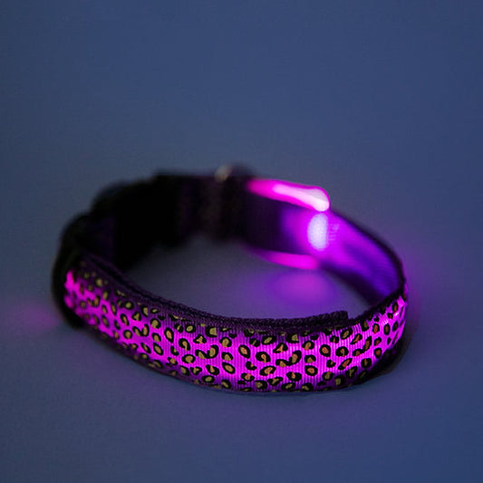 LED Hundehalsband | Lila