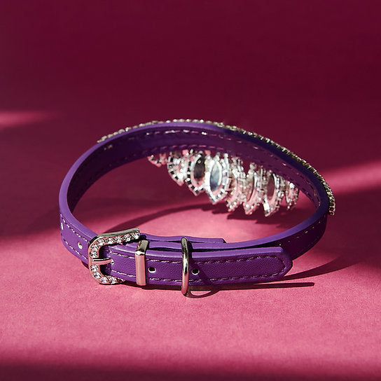 Luxurious Leather Dog Collar | Purple