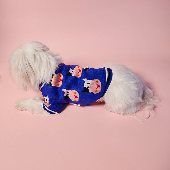 Warm Dog Sweater | Blue