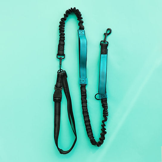 Dog Jogging Gear | Turquoise