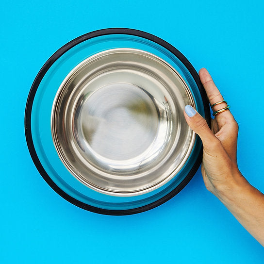 Painted Non-Slippery Bowl | Ocean Blue