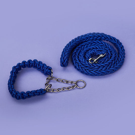 Twisted Leash with Martingale Collar | Blue