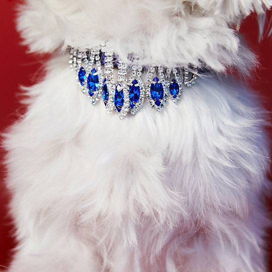 Luxe leren hondenhalsband | Blauw