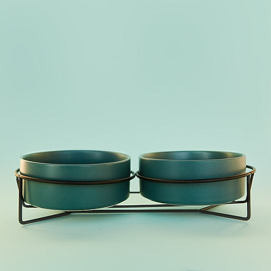 Ceramic Dog Bowls | Green