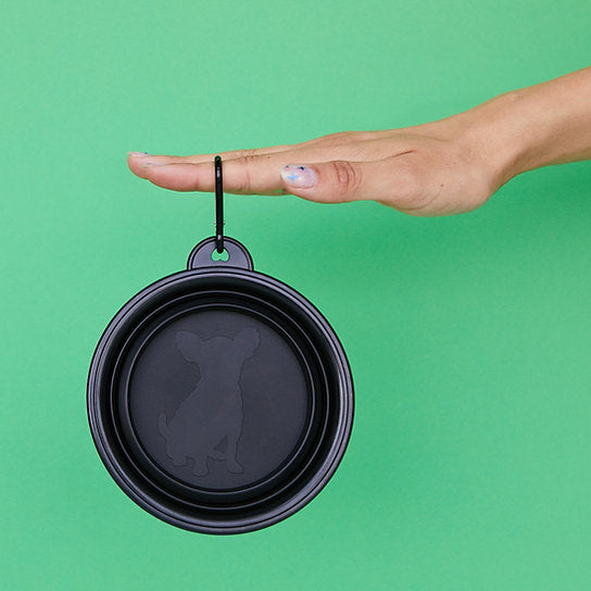 Pop-Out Dog Food Bowl | Black