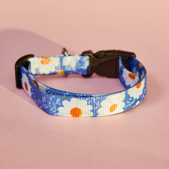 Set met hondenriem en halsband met patroon | Bloemen