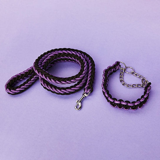 Twisted Leash met Martingale Halsband | Paars