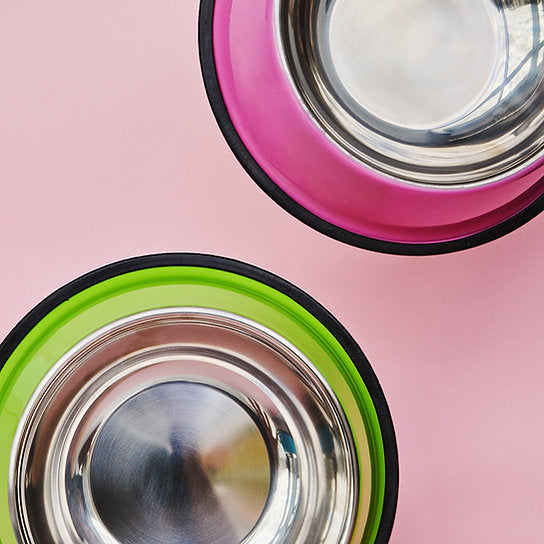 Painted Non-Slippery Bowl | Green