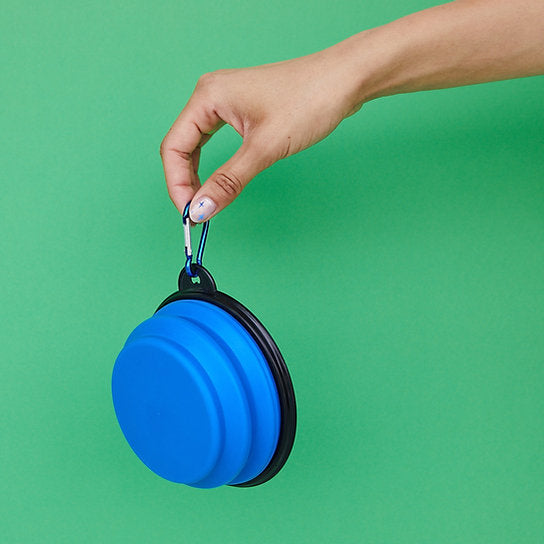 Pop-Out Dog Food Bowl | Blue