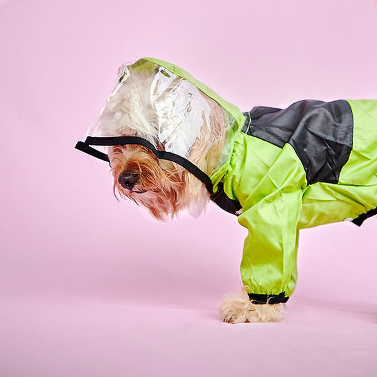 Waterproof Dog Raincoat | Green