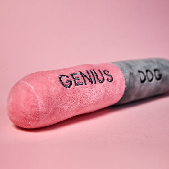 Plush Pill Dog Toy "Genius Dog" | Pink