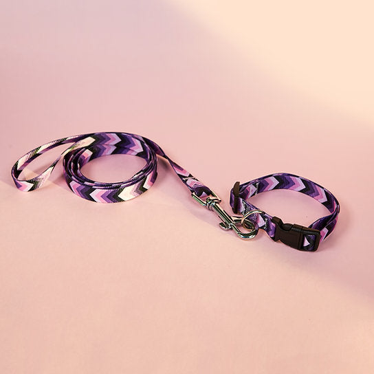Set met hondenriem en halsband met patroon | Paars