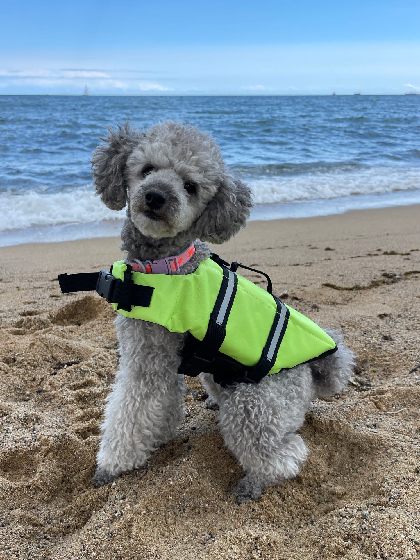 Dog Life Vest | Green