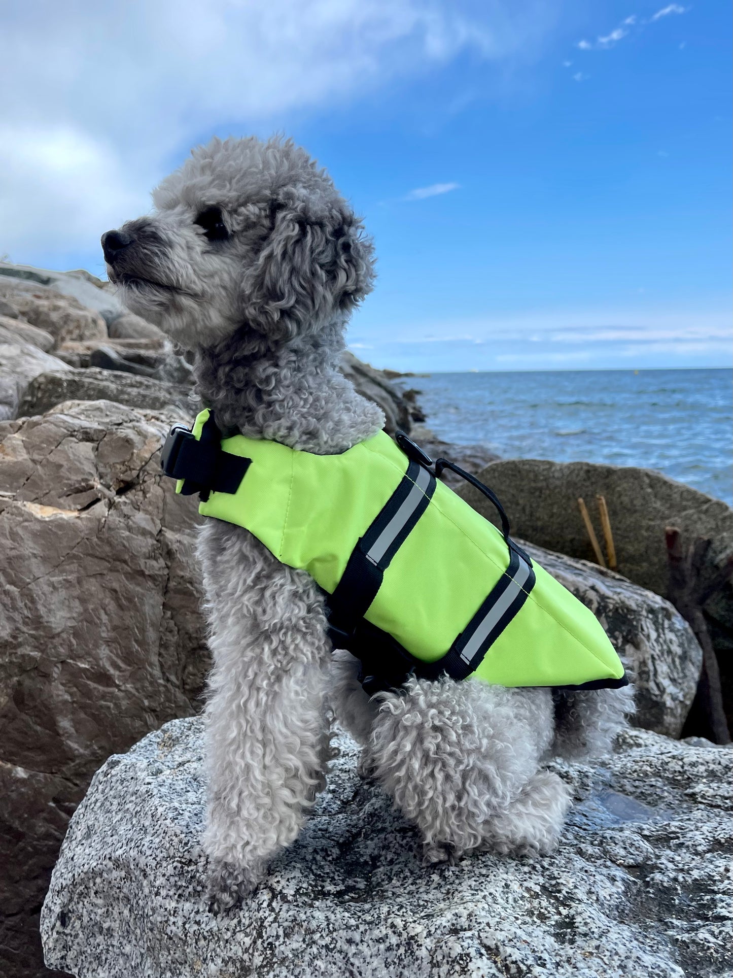 Dog Life Vest | Green