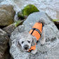 Dog Life Vest | Orange