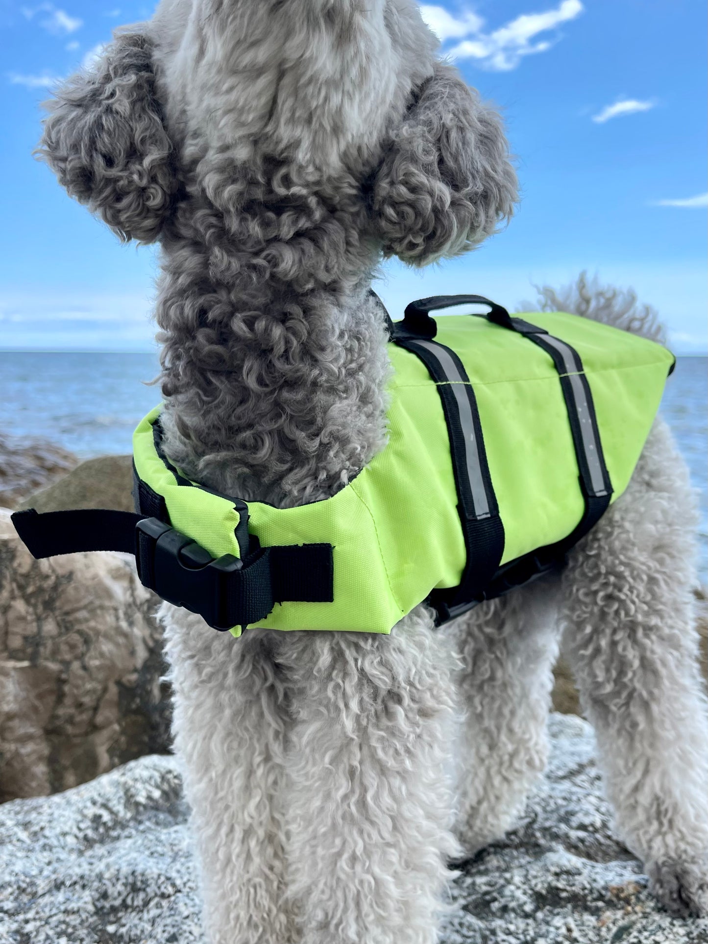 Dog Life Vest | Green