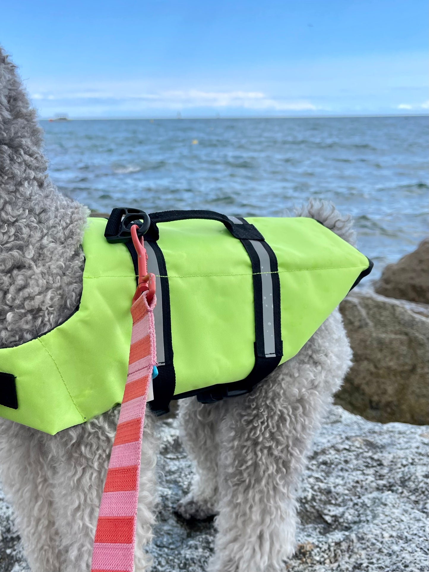 Dog Life Vest | Green