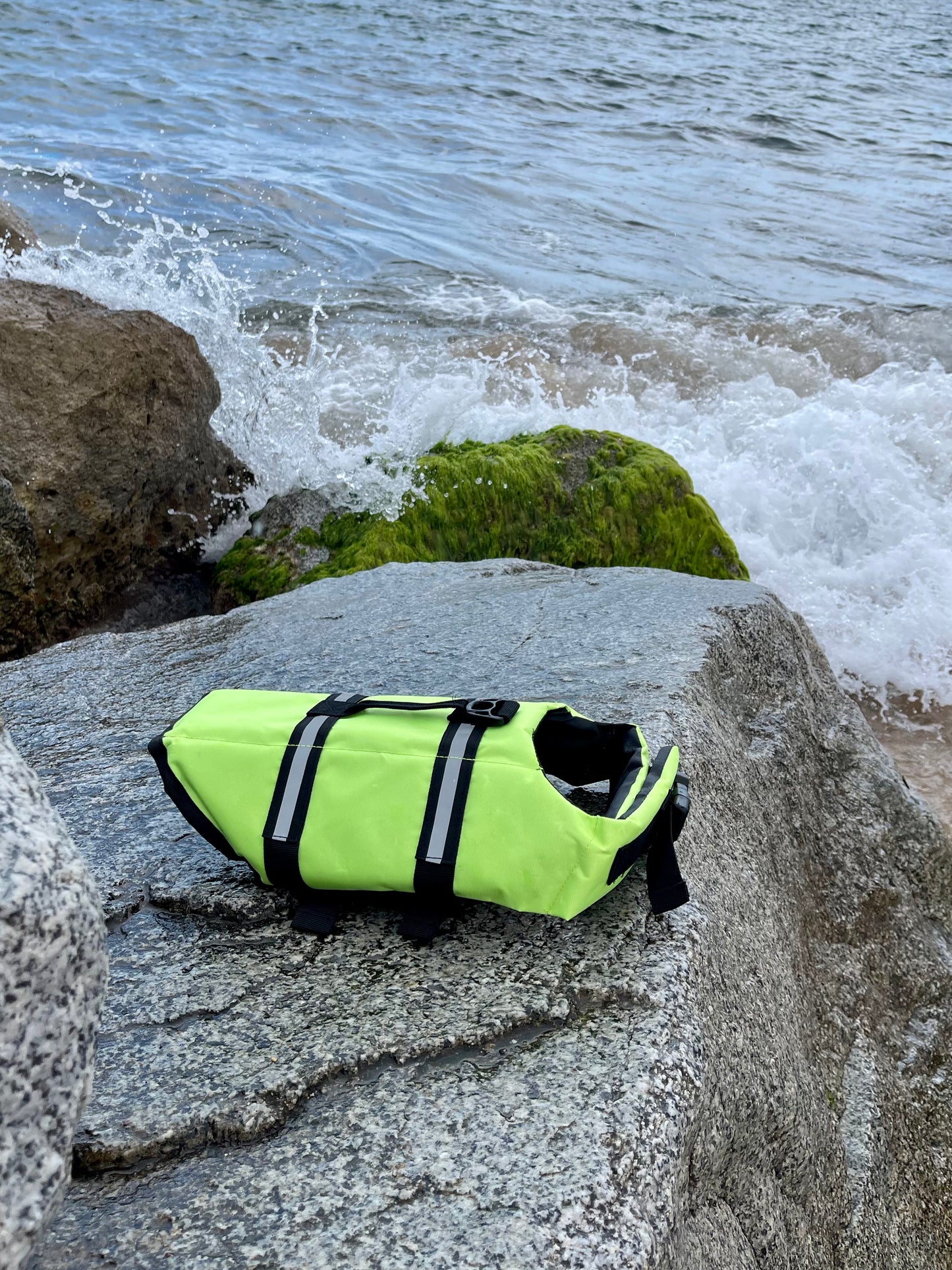 Dog Life Vest | Green