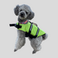 Dog Life Vest | Green