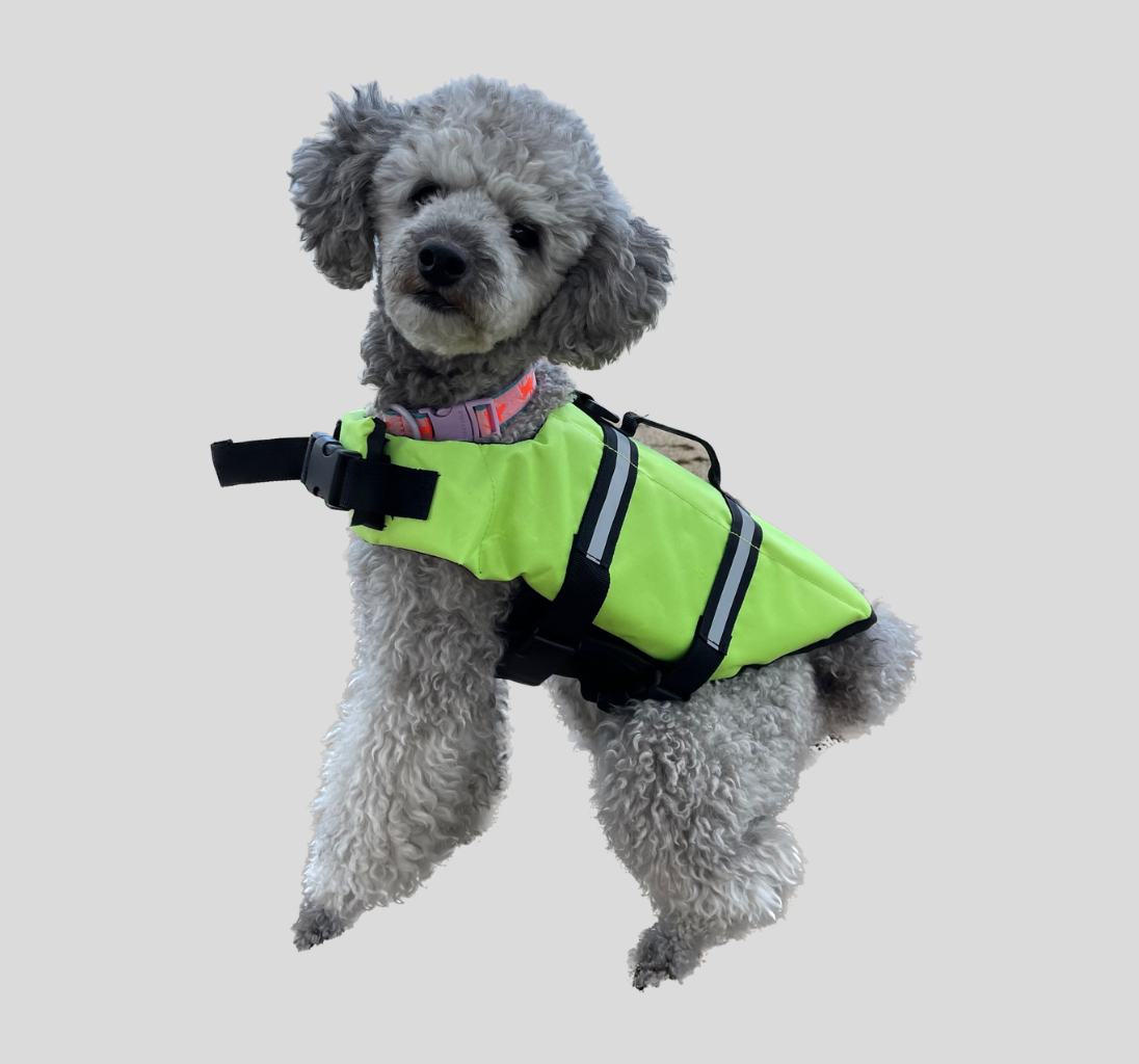 Dog Life Vest | Green