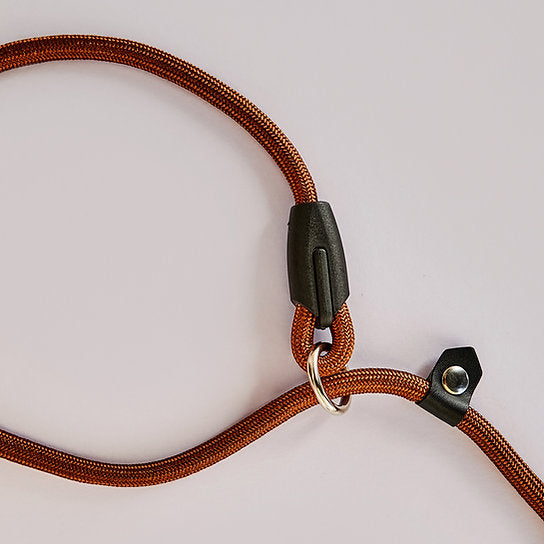 Slip Dog Nylon Leash | Brown