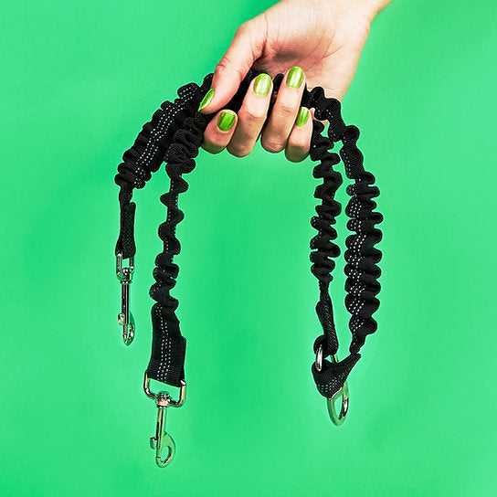 Dual Dog Leash | Black