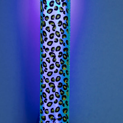 Šviečiantis LED Antkaklis Šunims | Mėlyna