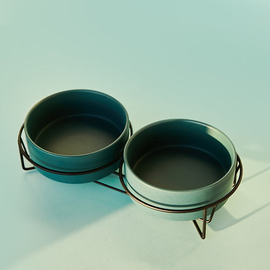 Ceramic Dog Bowls | Green