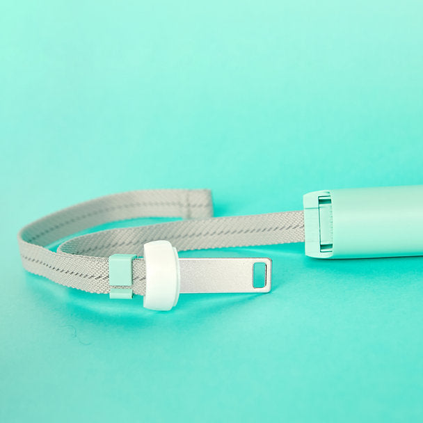 Innovative Dog Leash | Mint Green