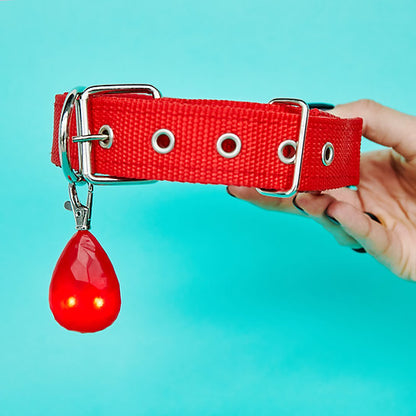 Šviečiantis LED Pakabukas Šunims | Raudona