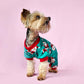 Christmas Santa Dog Pyjamas | Green