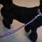Twisted Leash with Martingale Collar | Purple