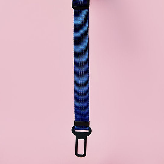 Dog Seat Belt Leash | Blue