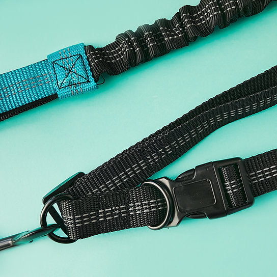 Dog Jogging Gear | Turquoise