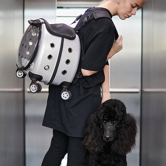 Travel Backpack Dog Carrier | Grey