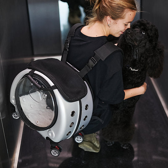 Travel Backpack Dog Carrier | Grey