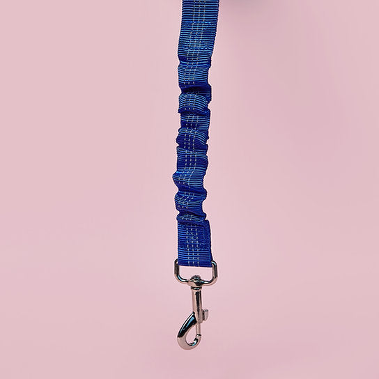 Dog Seat Belt Leash | Blue