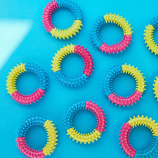Spiky Colourful Floating Dog Toy | Mutlicolour