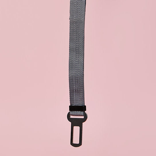 Dog Seat Belt Leash | Grey