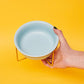 Ceramic Dog Bowls | Blue & Gold
