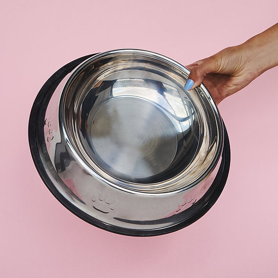 Painted Non-Slippery Bowl | Silver Shine