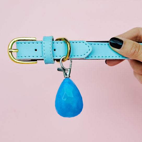 LED Hondenhalsband Hanger | Blauw