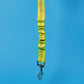 Dog Seat Belt Leash | Green
