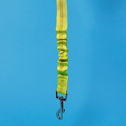Dog Seat Belt Leash | Green