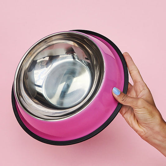 Painted Non-Slippery Bowl | Barbie Pink