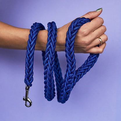 Twisted Leash with Martingale Collar | Blue