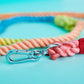 Twisted Rope Dog Leash | Rainbow