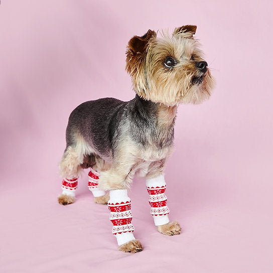 Dog Leg Warmer | Christmas Mood