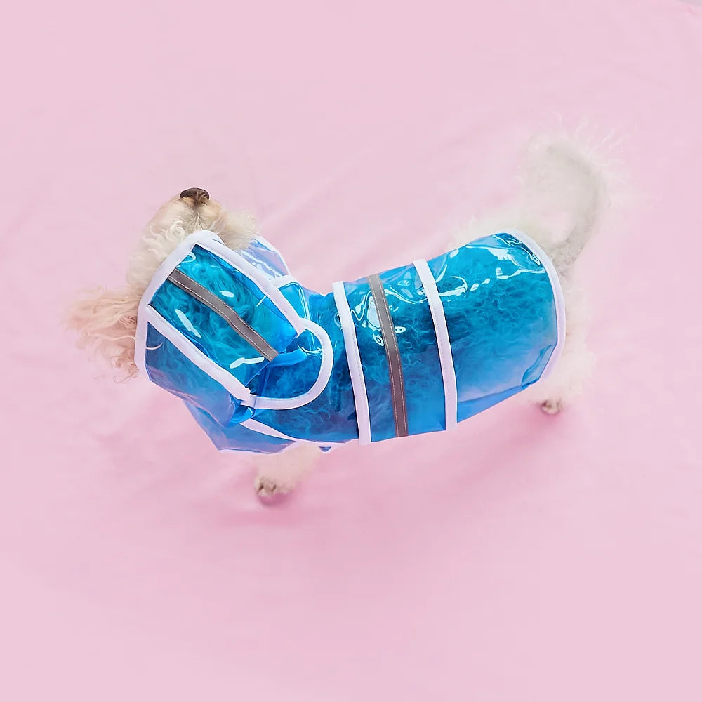 Clear Small Dog Raincoat | Blue